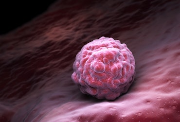 specialization-stem-cells.jpg
